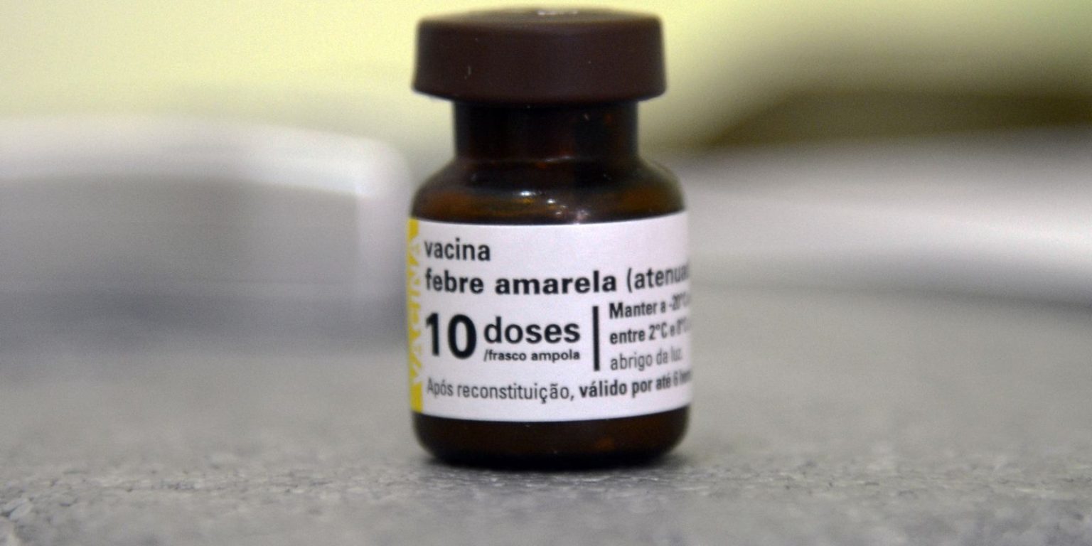 SP já tem mais mortes por febre amarela neste ano do que em todo 2024 sp-ja-tem-mais-mortes-por-febre-amarela-neste-ano-do-que-em-todo-2024