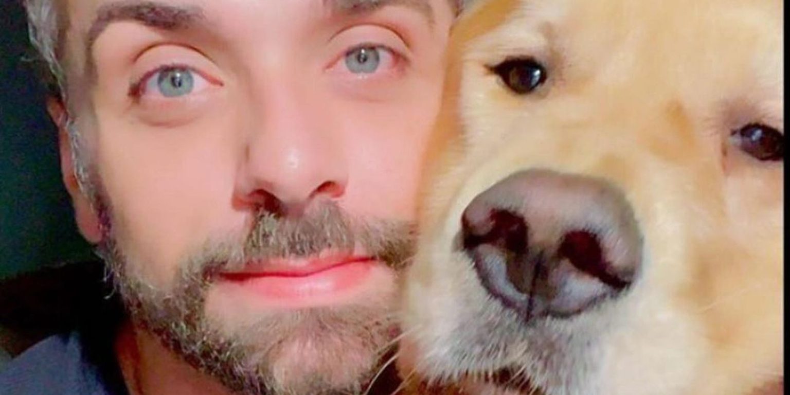 apos-caso-joca,-senado-aprova-regras-para-transporte-aereo-de-animais