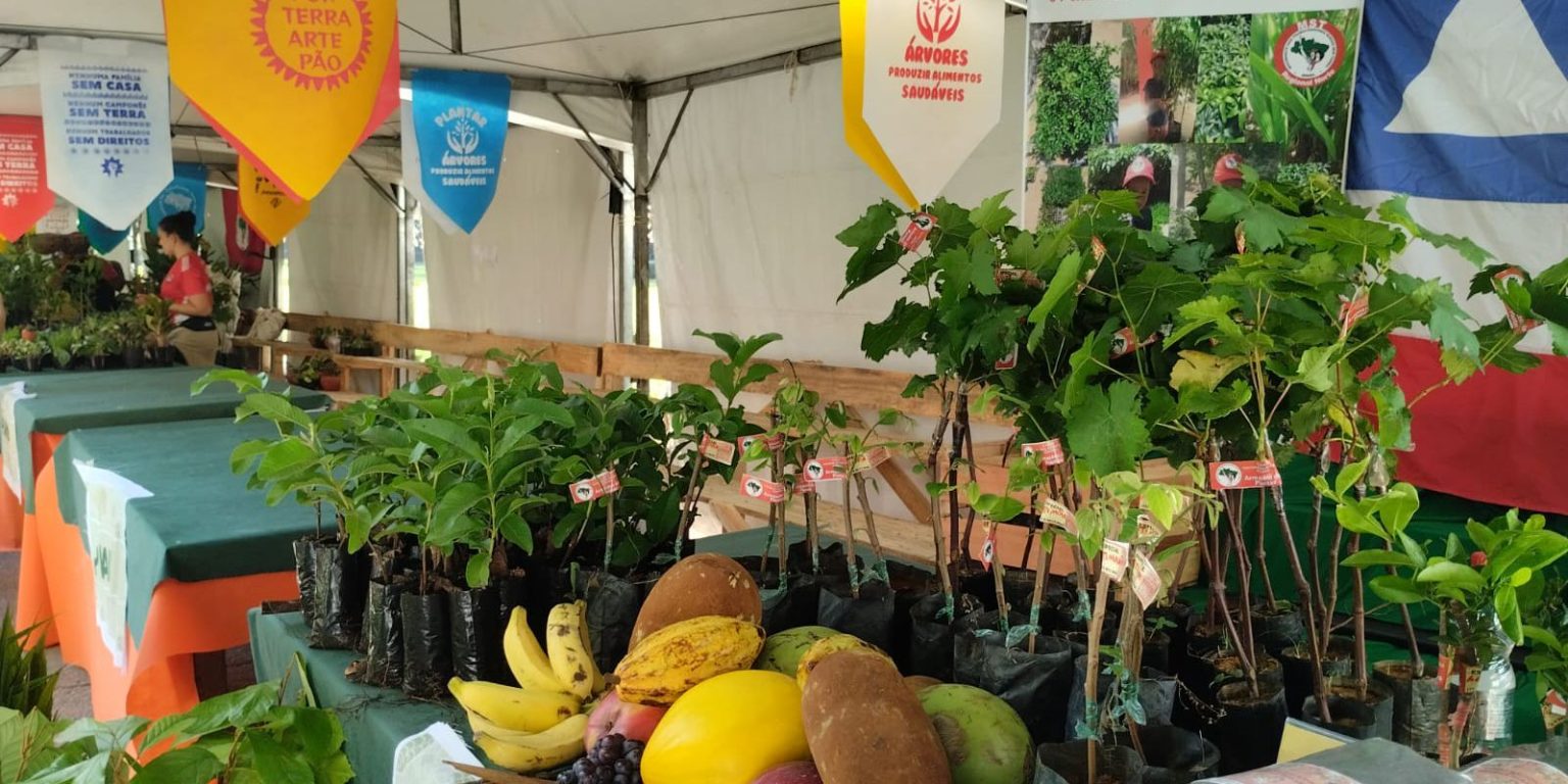 feira-da-reforma-agraria-oferece-alimentos-produzidos-por-acampamentos