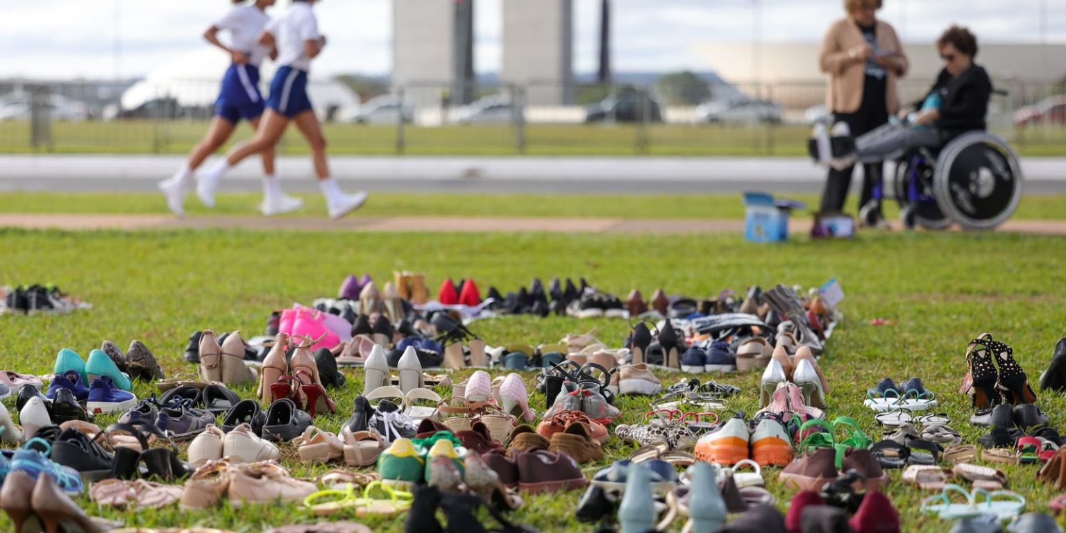 ato-na-esplanada-da-voz-as-pessoas-com-encefalomielite-mialgica