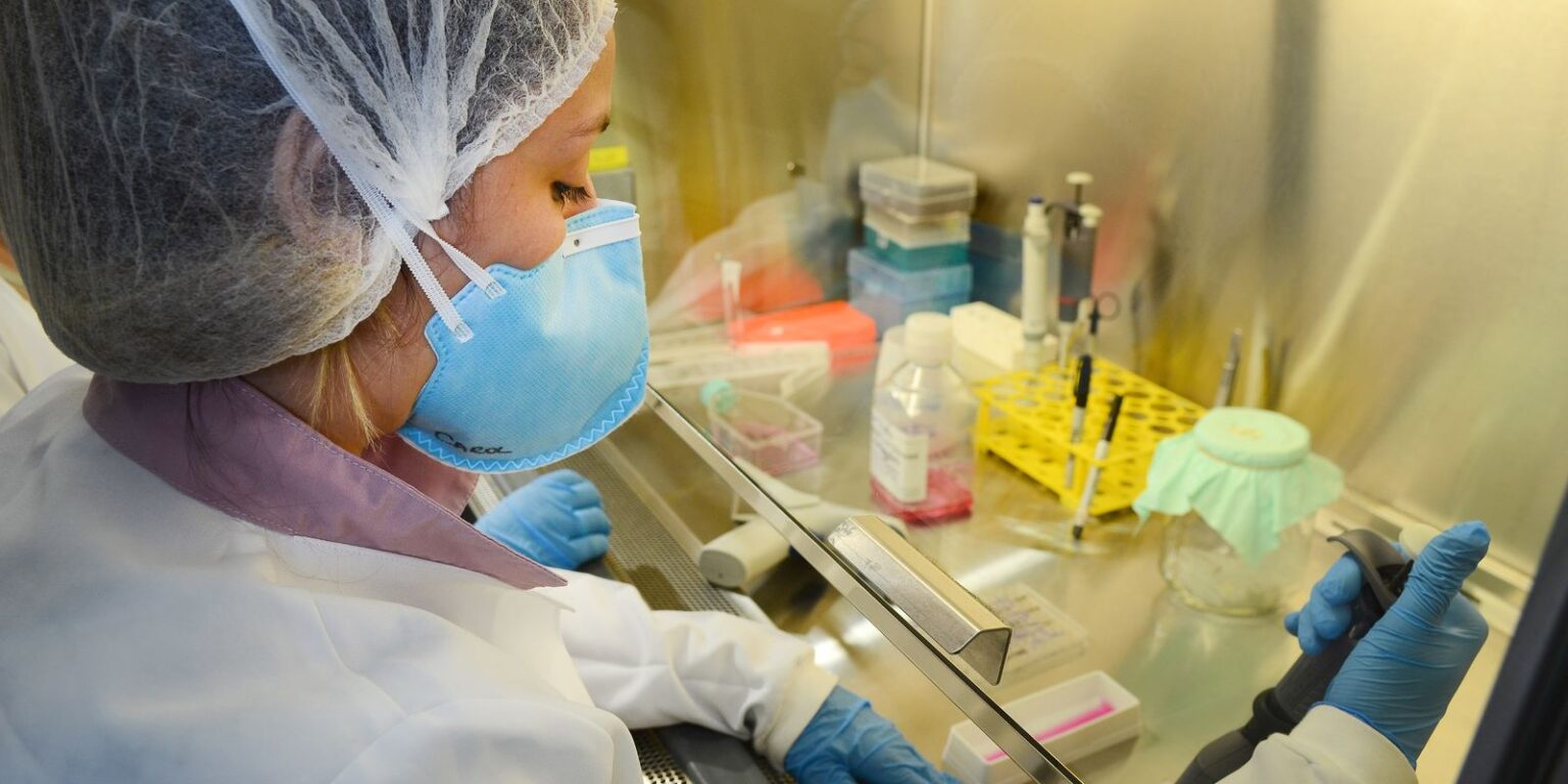 usp:-pesquisa-de-vacina-contra-zika-avanca-em-testes-com-camundongos