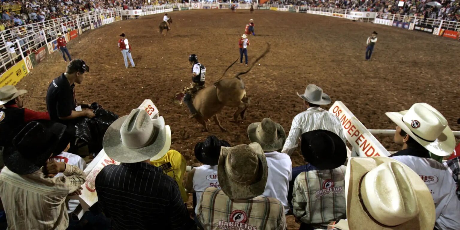 festa-do-peao-de-barretos-reune-shows-e-rodeios-ate-31-de-agosto
