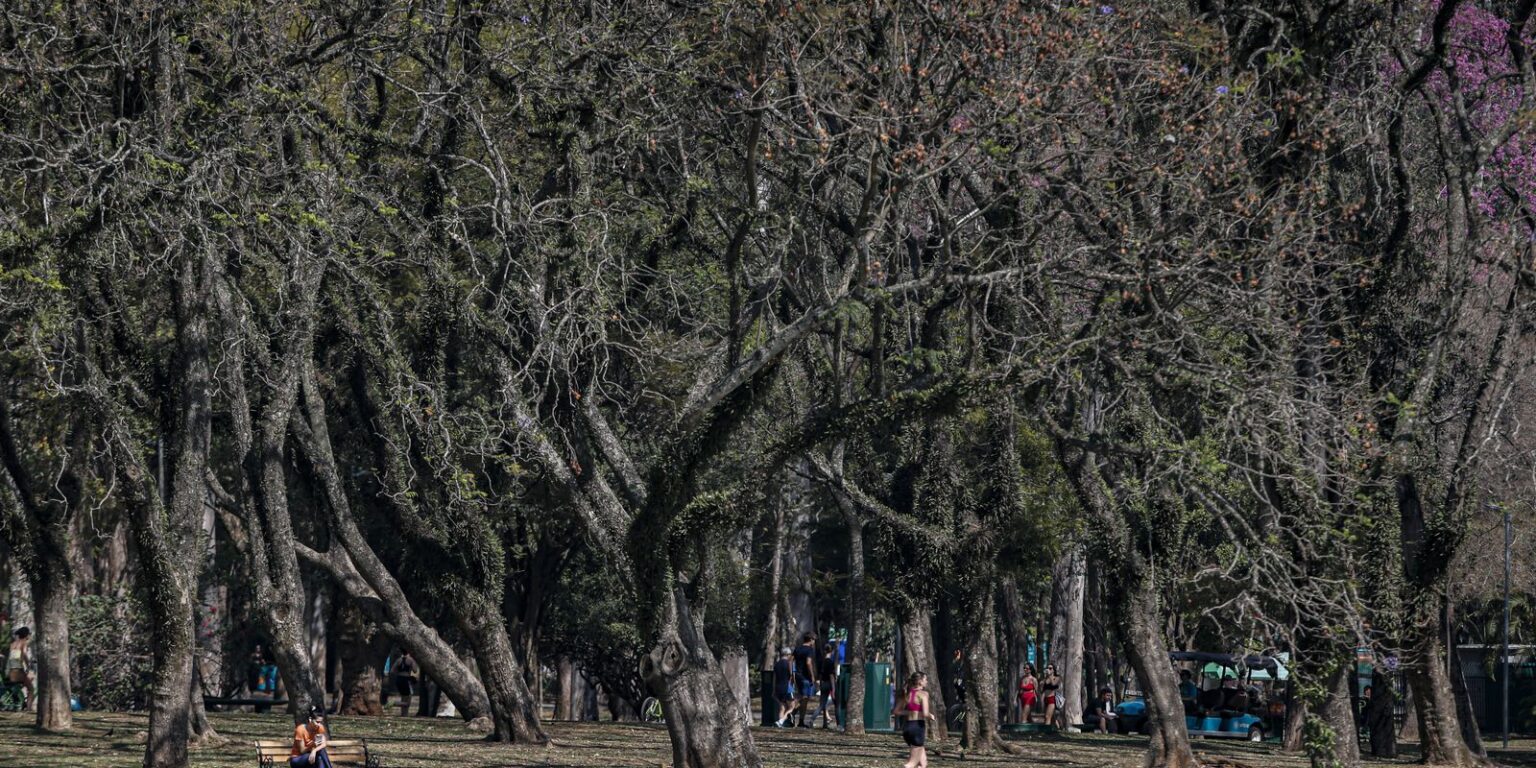 cidade-de-sao-paulo-tem-agosto-mais-seco-desde-2020