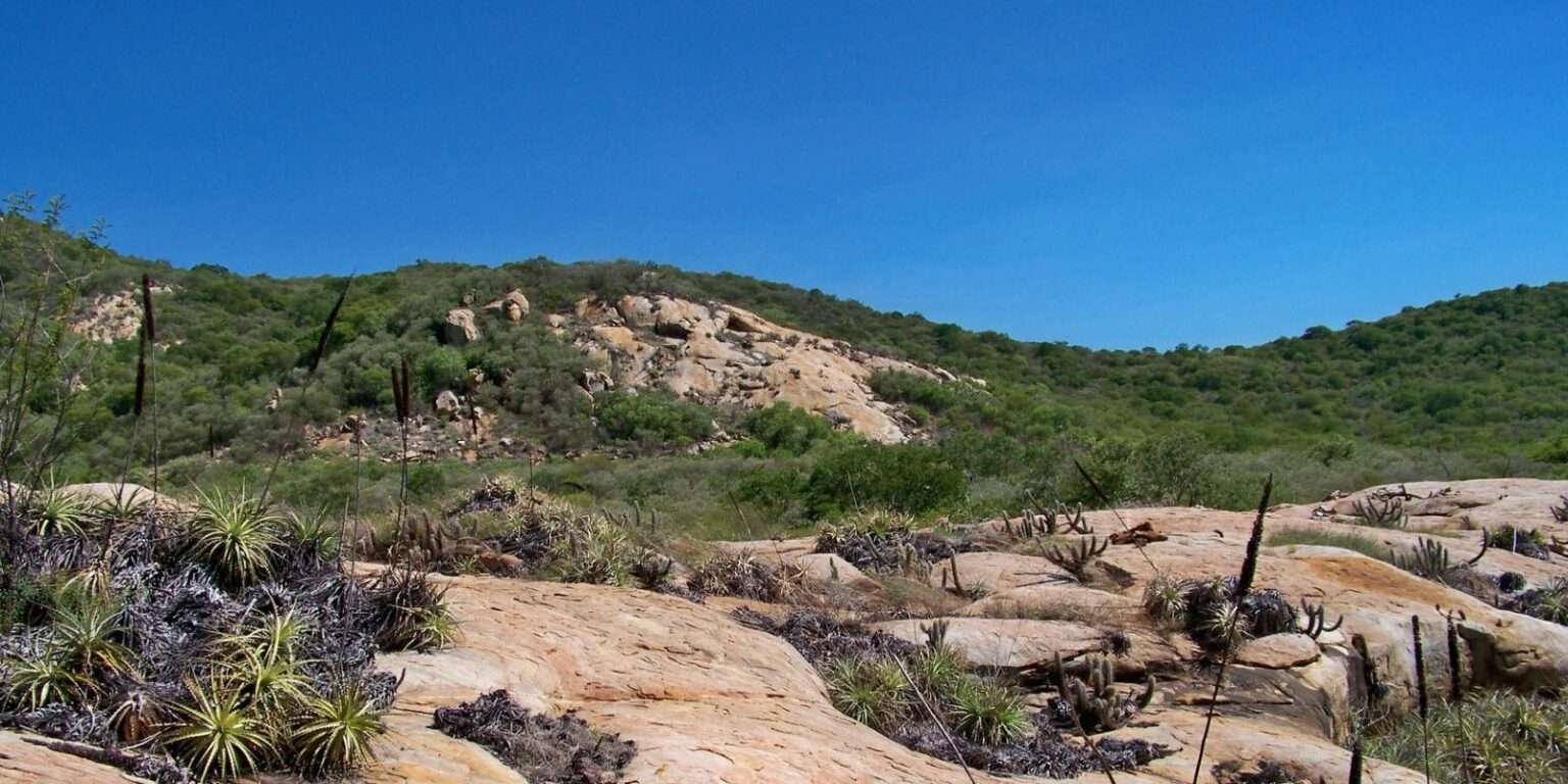 Geoparque Seridó é tema do Caminhos da Reportagem desta segunda geoparque-serido-e-tema-do-caminhos-da-reportagem-desta-segunda