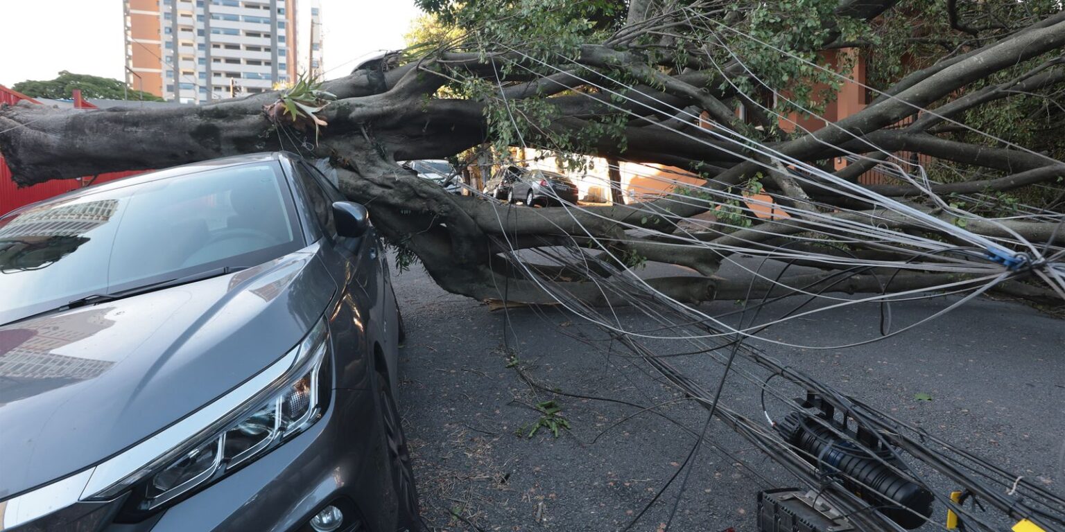 São Paulo e capitais do Sul terão ventos moderados nesta quinta-feira sao-paulo-e-capitais-do-sul-terao-ventos-moderados-nesta-quinta-feira