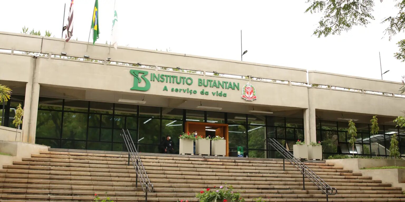 Butantan produzirá remédio contra câncer para o SUS butantan-produzira-remedio-contra-cancer-para-o-sus