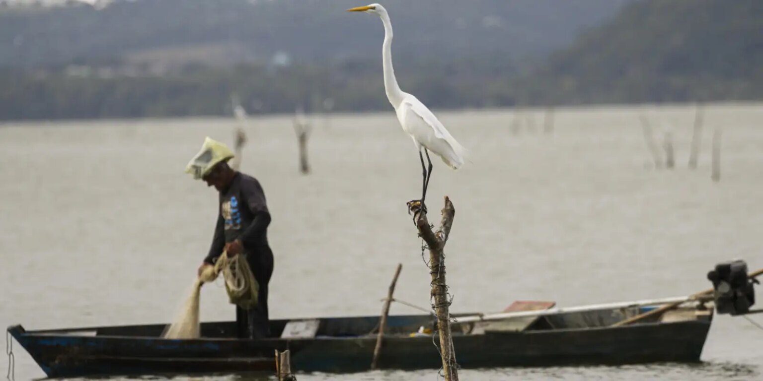 mudancas-aprovadas-para-o-seguro-defeso-previnem-fraudes,-diz-relator